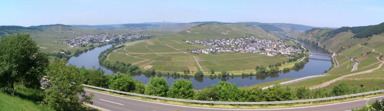 Galerie Riesling Hotel Trittenheim Exterior foto